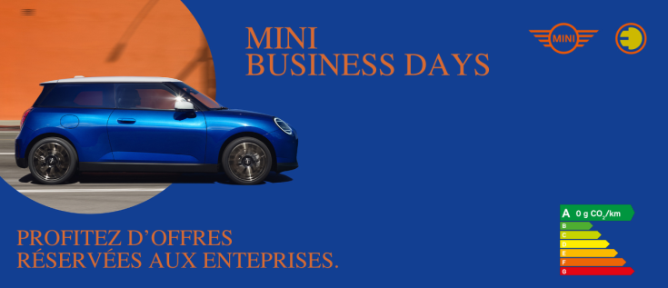 MINI BUSINESS DAYS angers