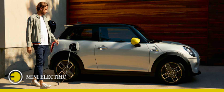 mini electric