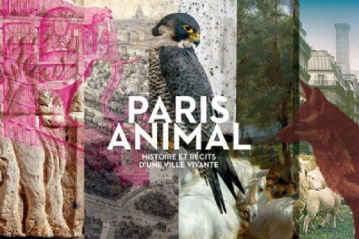 Paris Animal