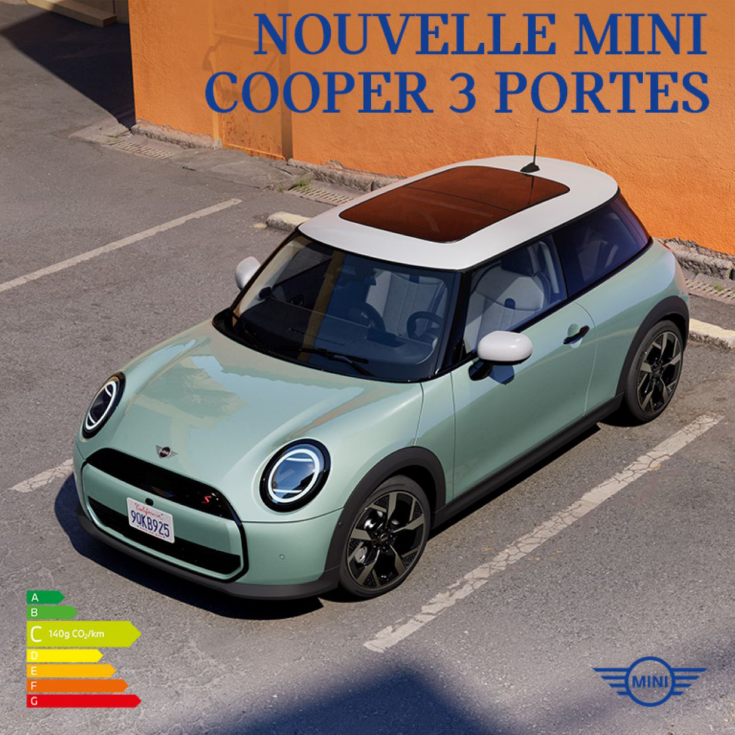 MINI F66