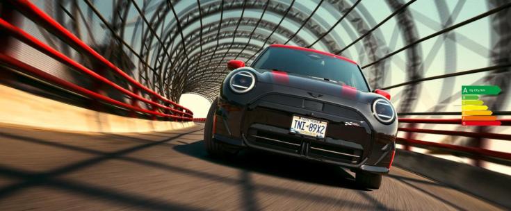 JCW ELEC
