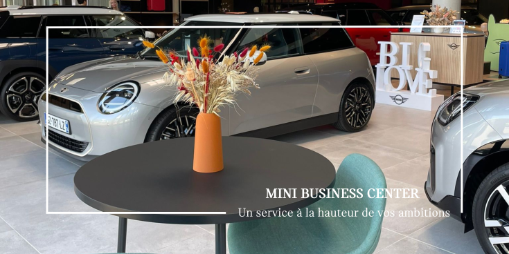 MINI BUSINESS CENTER