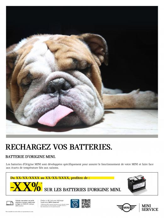 CAMPAGNE BATTERIE
