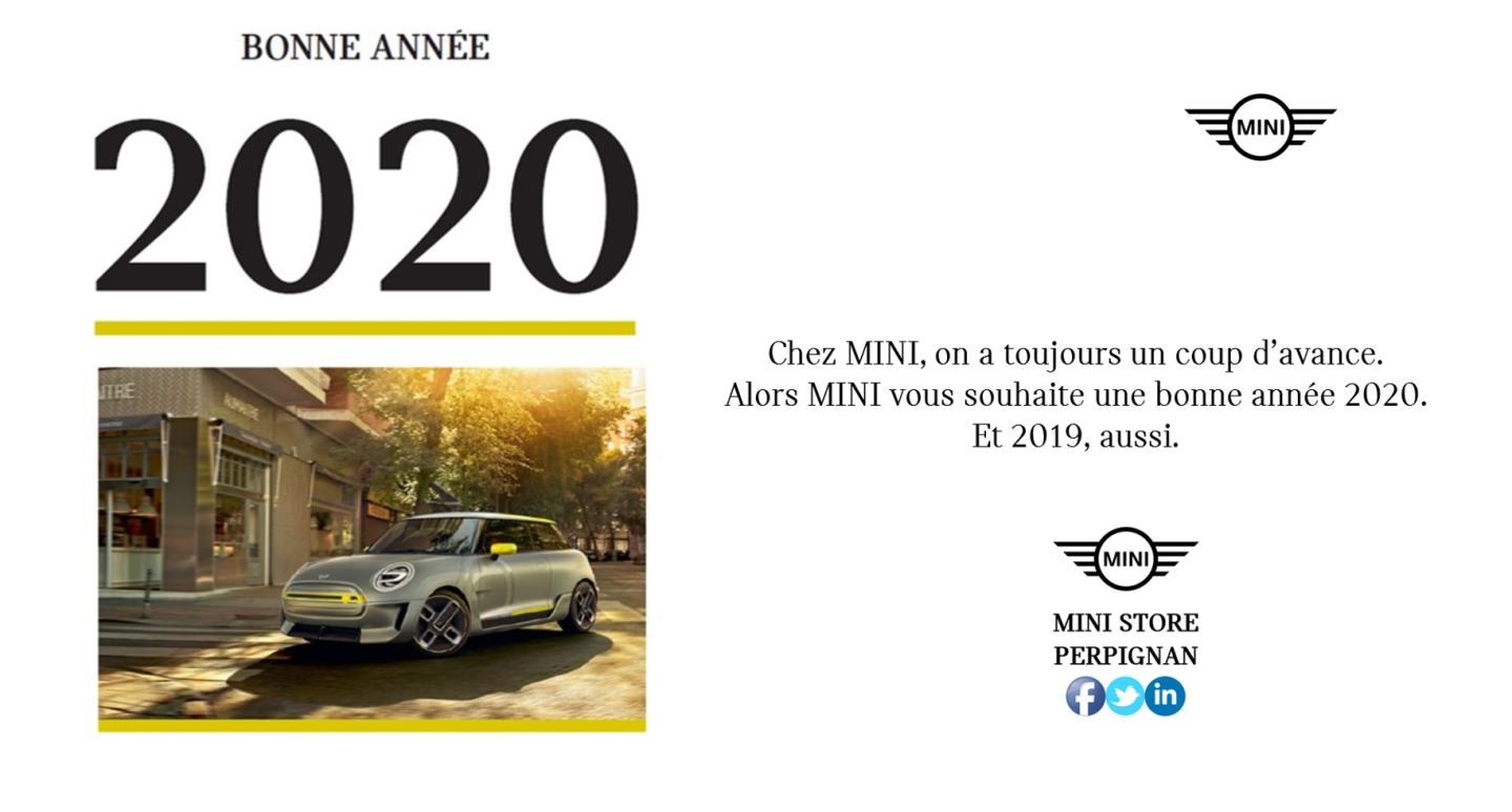 VOEUX MINI 2019