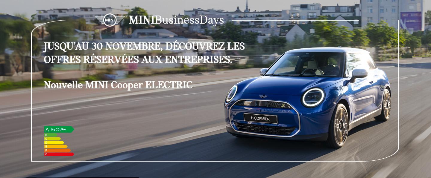 MINI BUSINESS DAYS