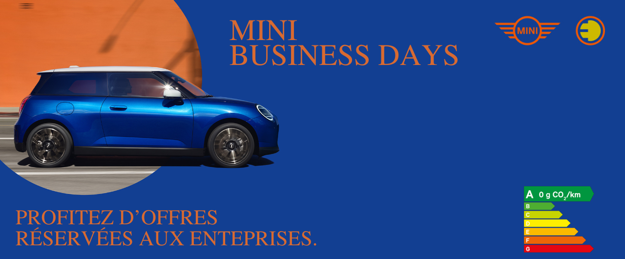 MINI BUSINESS DAYS angers