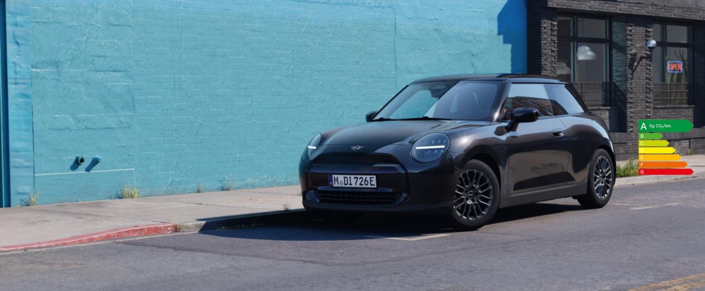 MINI BLACKYARD