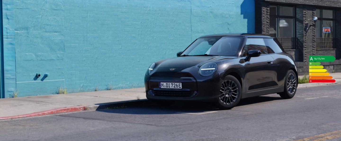 MINI BLACKYARD