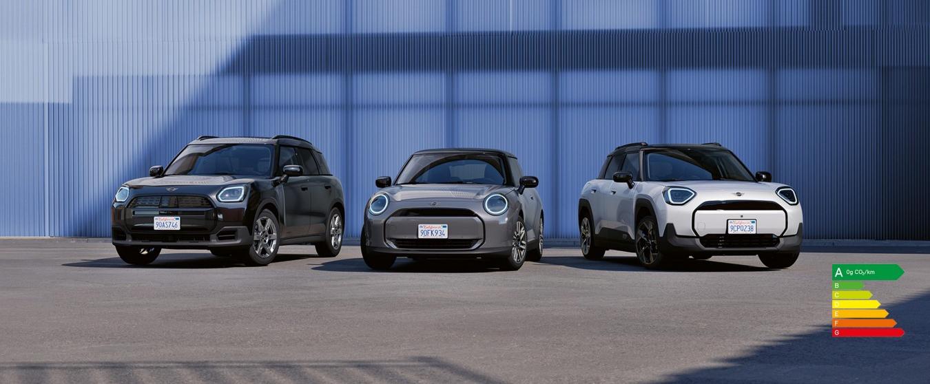 MINI FOR BUSINESS