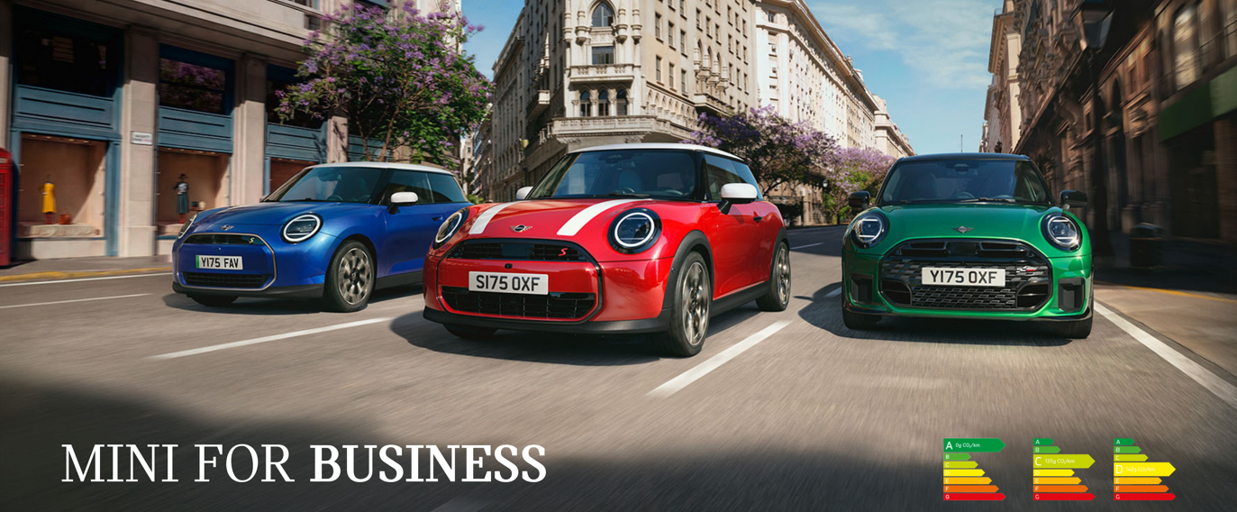 MINI FOR BUSINESS