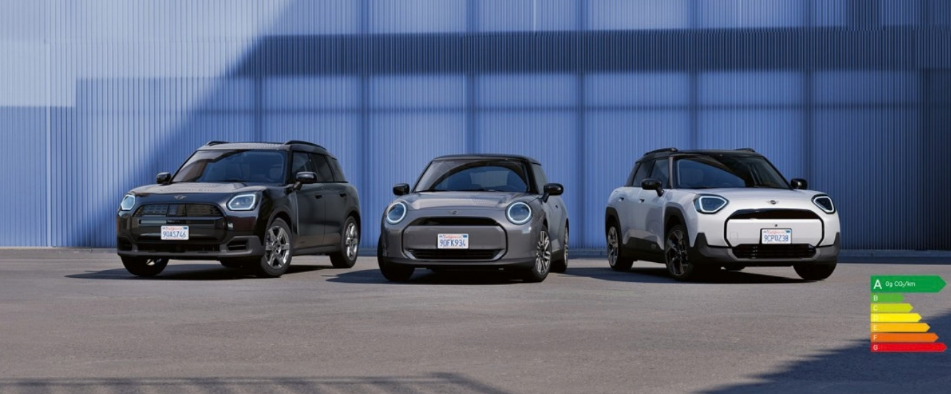 MINI BUSINESS